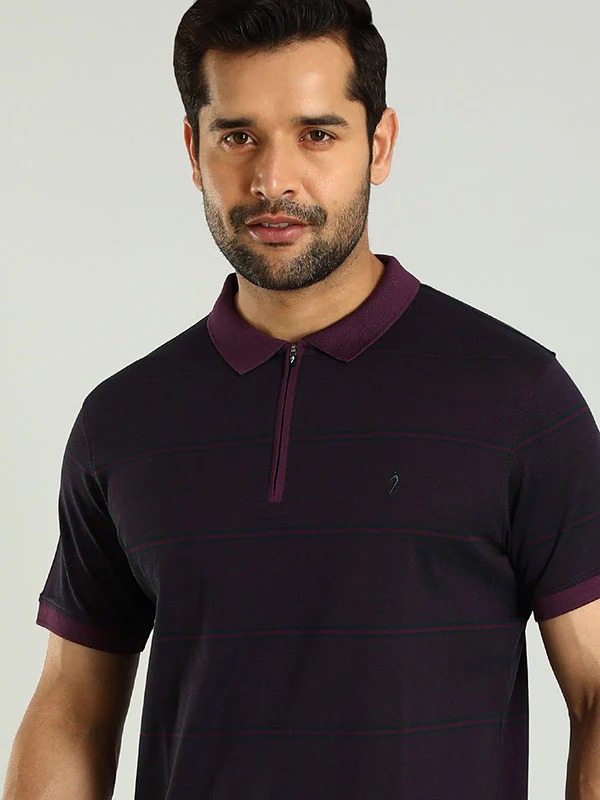 Indian Terrain Men's Half Sleeve Regular Fit Purple Polo T-Shirt